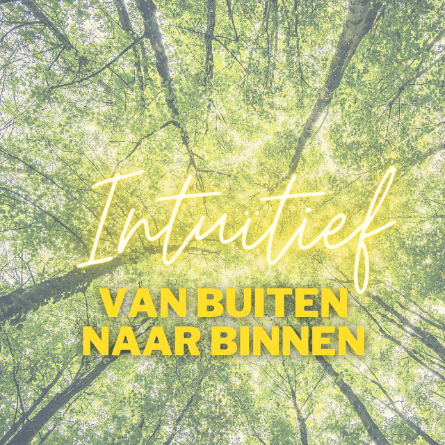 Intuïtief